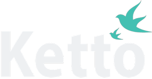 Ketto platform logo.