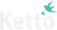Ketto platform logo.