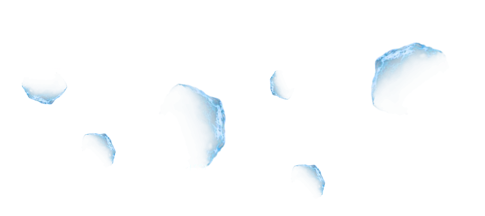 Skillverse You Actually Master